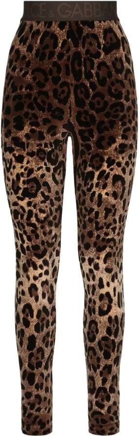 Dolce & Gabbana Legging met luipaardprint Bruin