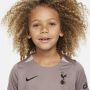 Nike Tottenham Hotspur 2023 24 Derde Dri-FIT driedelig tenue voor kleuters Bruin - Thumbnail 3