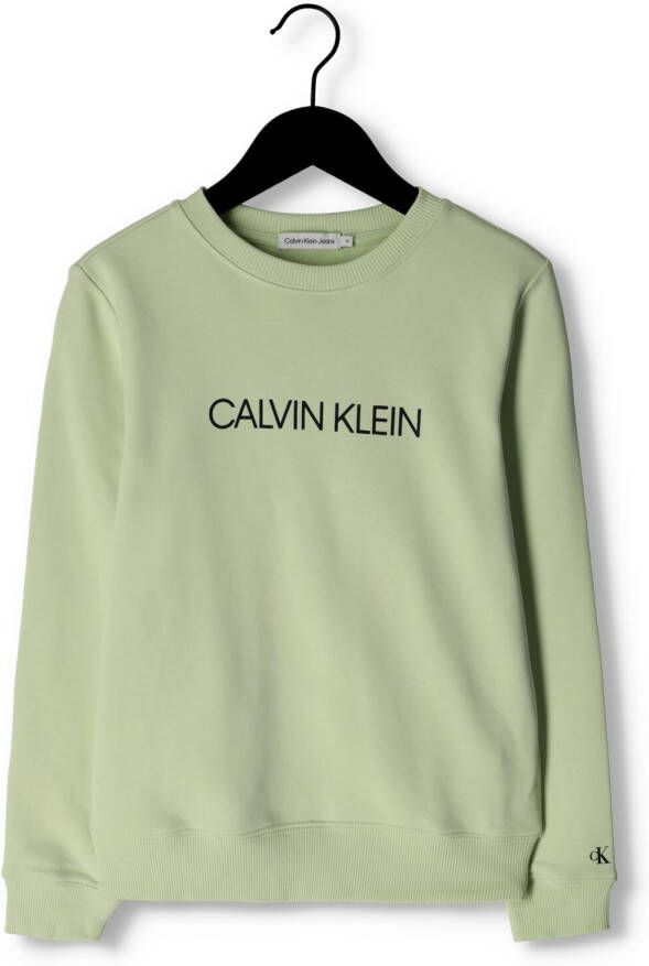 CALVIN KLEIN Jongens Truien & Vesten Institutional Logo Sweatshirt Groen