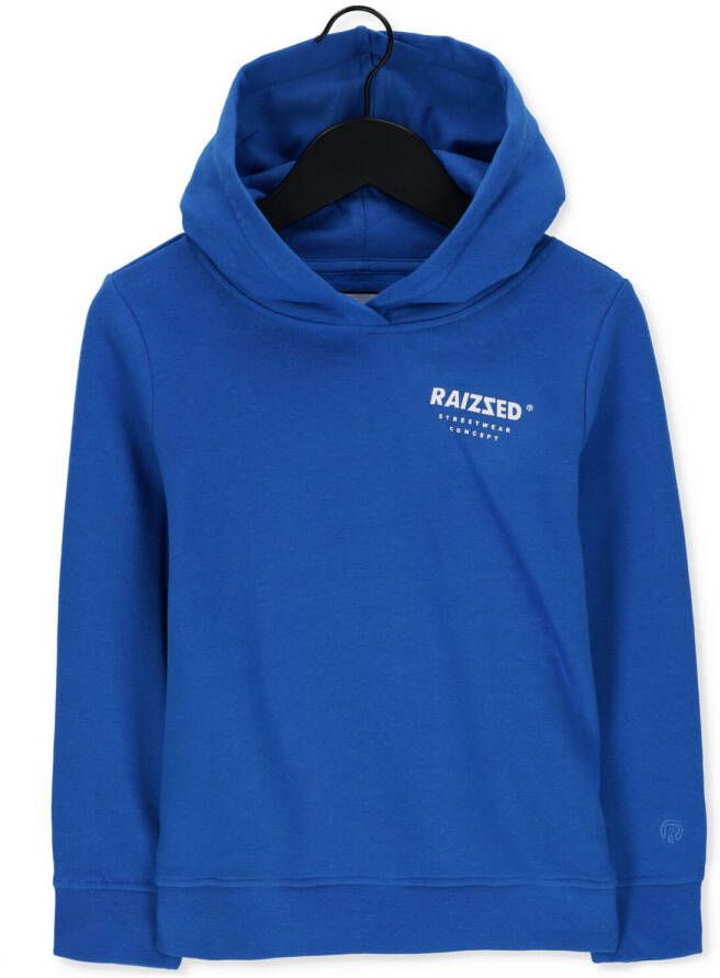 Raizzed hoodie Warren met backprint kobaltblauw