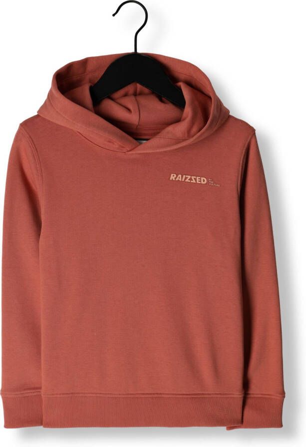 Raizzed hoodie Newfield oranjeroze Sweater 116 | Sweater van