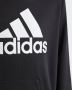 Adidas Sportswear Hoodie BIG LOGO ESSENTIALS COTTON HOODIE - Thumbnail 7