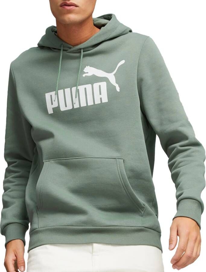 Puma Essentials Big Logo Hoodie Voor Heren