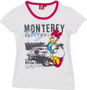 Disney T-shirt Korte Mouw WD26120-BLANCO
