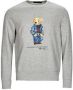 Ralph Lauren Comfortabele Grijze Teddy Print Sweatshirt voor Heren Grijs Heren - Thumbnail 4
