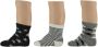 Apollo baby sokken set van 6 zwart wit grijs Jongens Katoen All over print 56-68 - Thumbnail 2
