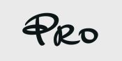 Pro logo