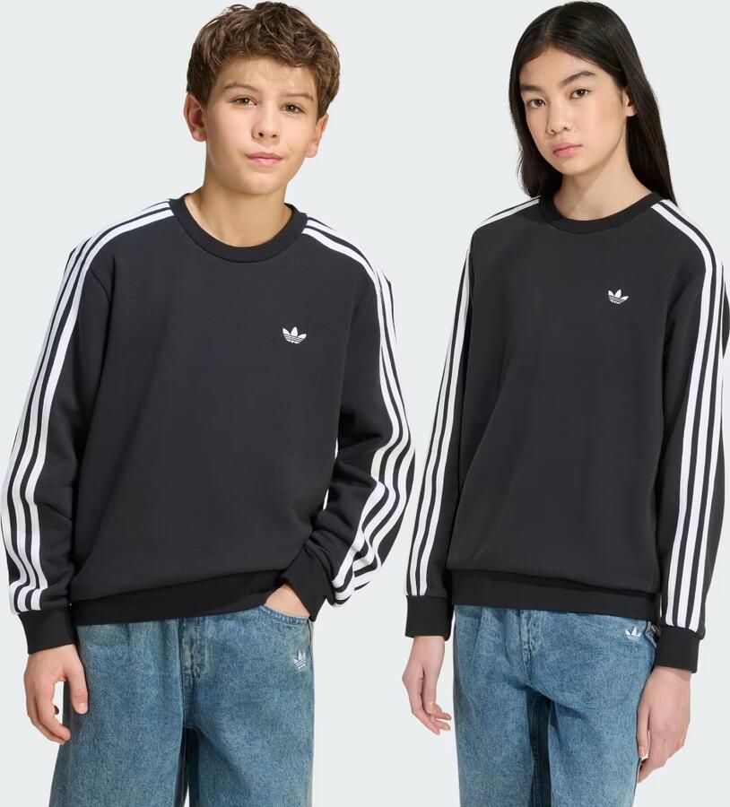 Adidas 3-STRIPES LOOSE-FIT Sweatshirt