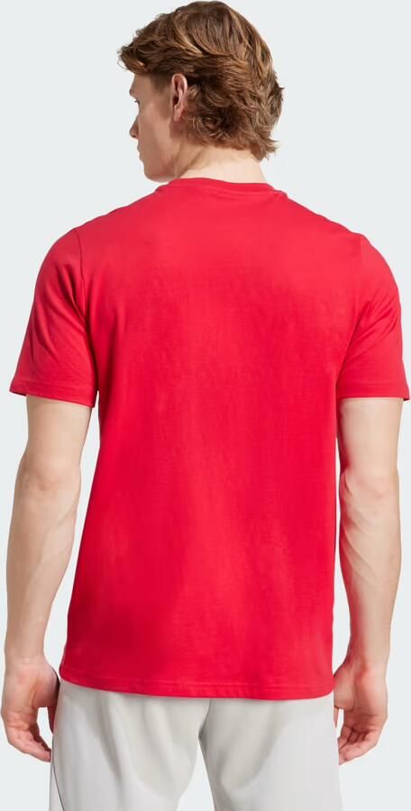 Adidas Ajax Amsterdam Seasonal Graphic T-Shirt - Foto 5
