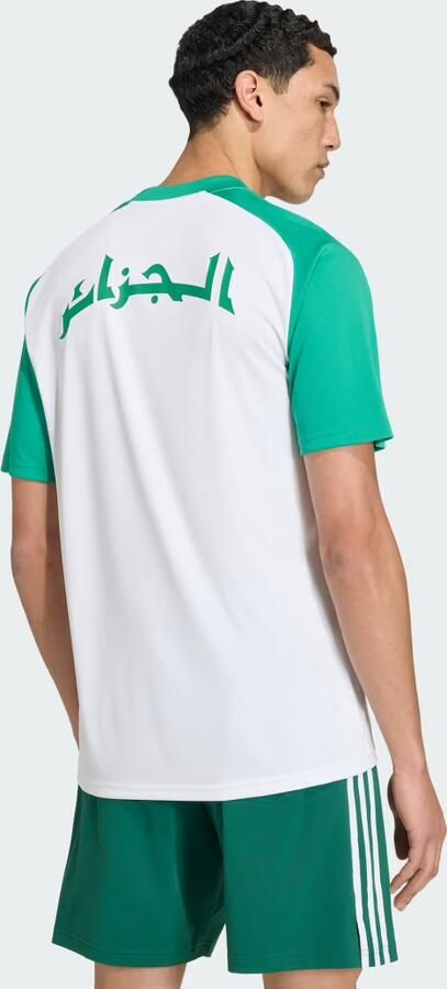Adidas Algeria 2026 Home Pre Match Shirt Wit- Heren Wit - Foto 7