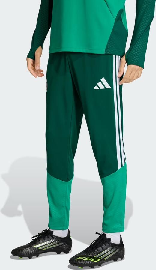 Adidas Algerije 26 Training Broek