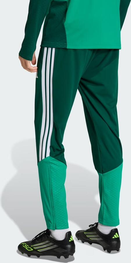 Adidas Algerije 26 Training Broek - Foto 3