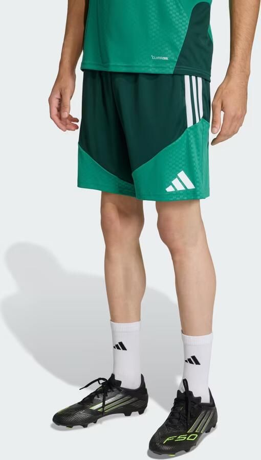 Adidas Algerije 26 Training Short