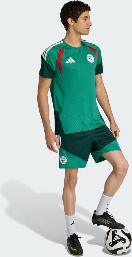 Adidas Algerije 26 Training Short - Foto 5