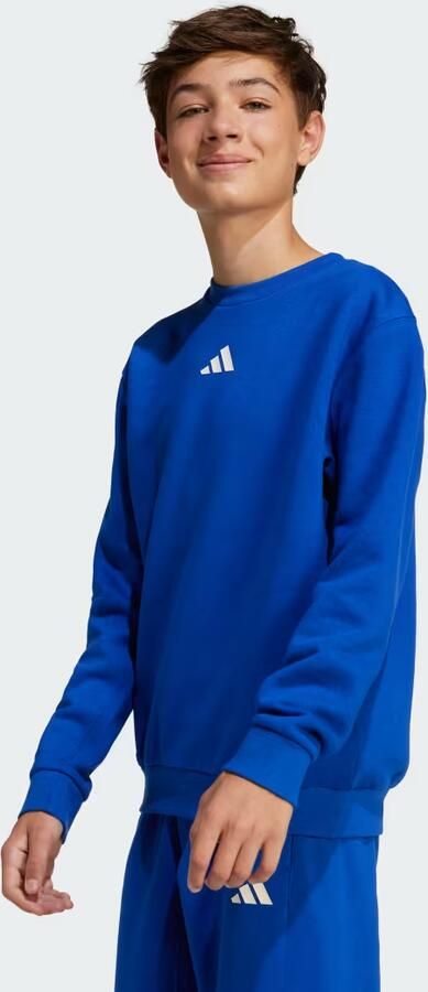 Adidas All SZN Graphic Sweatshirt Kids - Foto 6