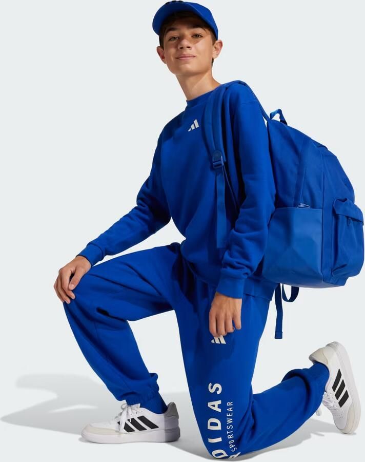 Adidas All SZN Graphic Sweatshirt Kids - Foto 2