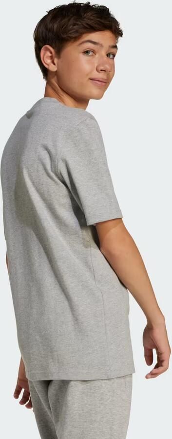 Adidas ALL SZN Graphic T-shirt Kids - Foto 6