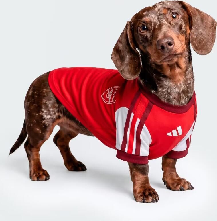 Adidas ARSENAL FC SHIRT VOOR HUISDIEREN - Foto 5