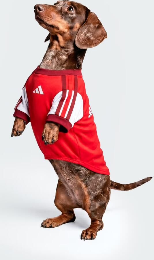 Adidas ARSENAL FC SHIRT VOOR HUISDIEREN - Foto 6