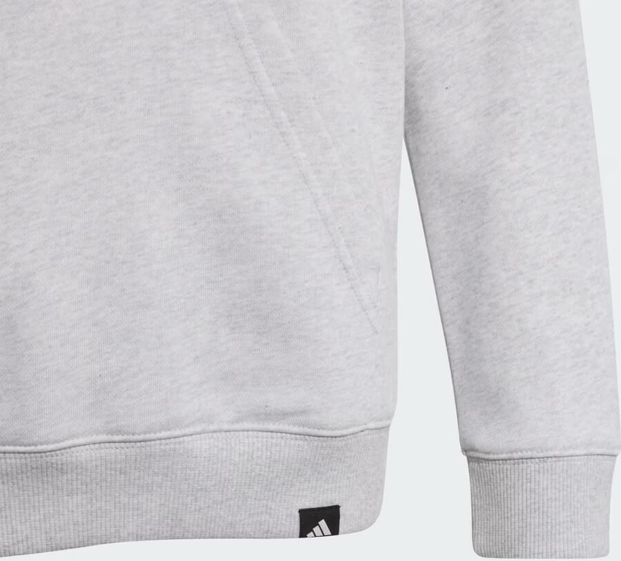 Adidas AUDI FORMULA ONE TEAM GABRIEL BORTOLETO GRAPHIC I HOODIE JEUGD - Foto 3