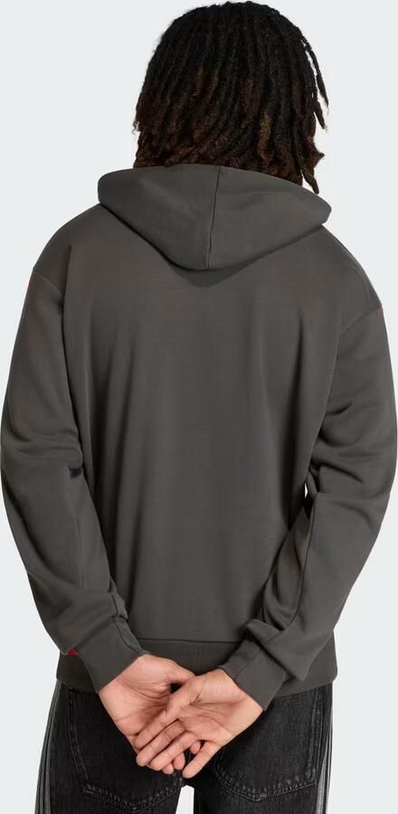 Adidas AUDI REVOLUT F1 TEAM DNA FRENCH TERRY HOODIE - Foto 5