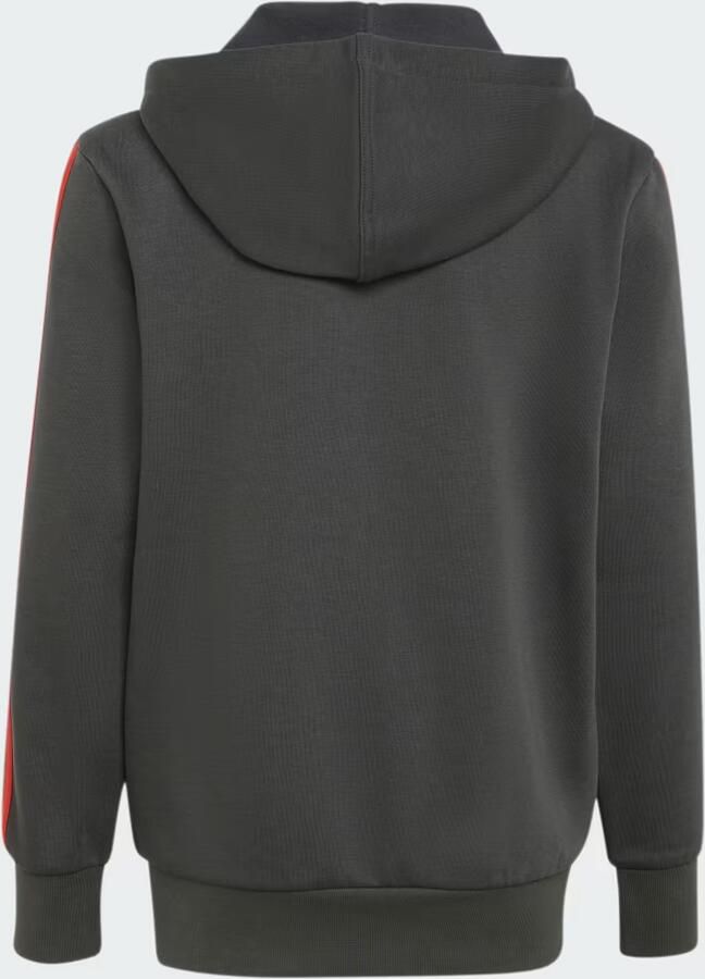 Adidas AUDI REVOLUT F1 TEAM DNA HOODIE MET LANGE RITSSLUITING