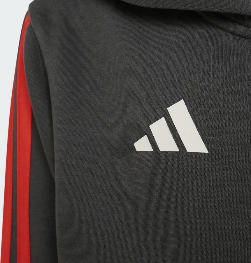 Adidas AUDI REVOLUT F1 TEAM DNA HOODIE MET LANGE RITSSLUITING - Foto 3