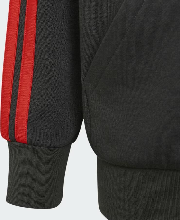 Adidas AUDI REVOLUT F1 TEAM DNA HOODIE MET LANGE RITSSLUITING - Foto 4