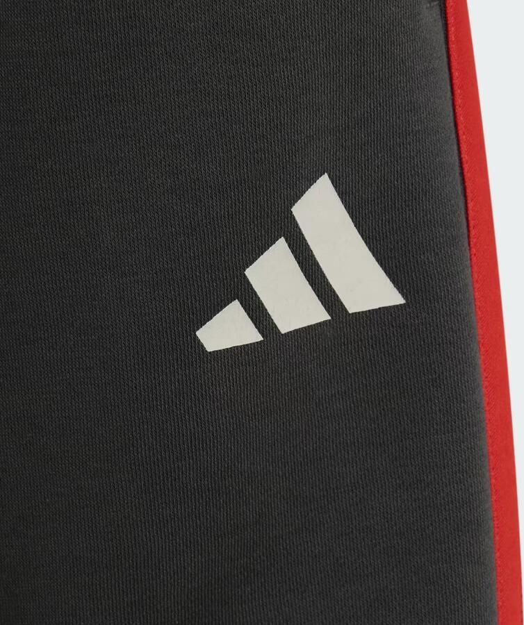 Adidas AUDI REVOLUT F1 TEAM DNA SHORT - Foto 4