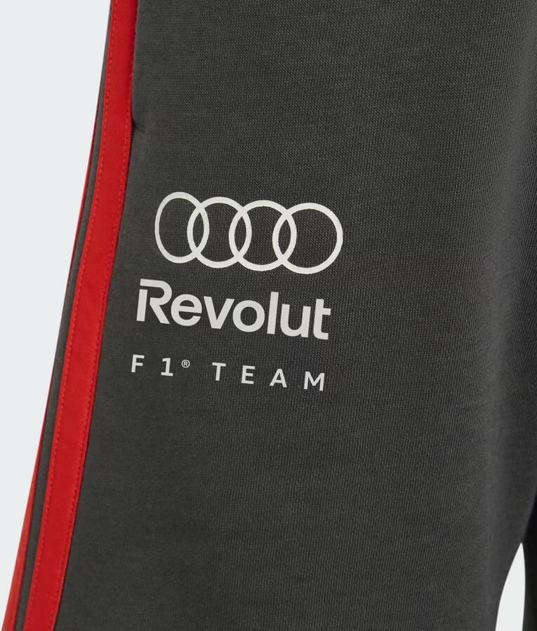 Adidas AUDI REVOLUT F1 TEAM DNA SHORT - Foto 3