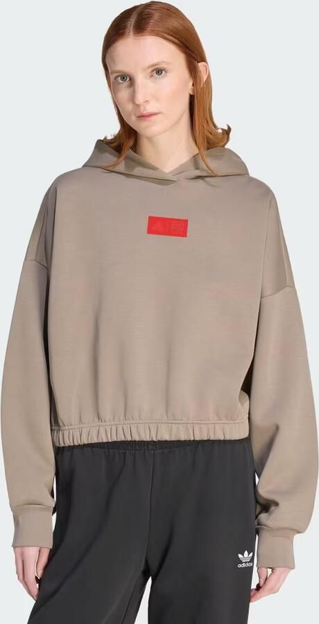 Adidas AUDI REVOLUT F1 TEAM ELEVATED HOODIE