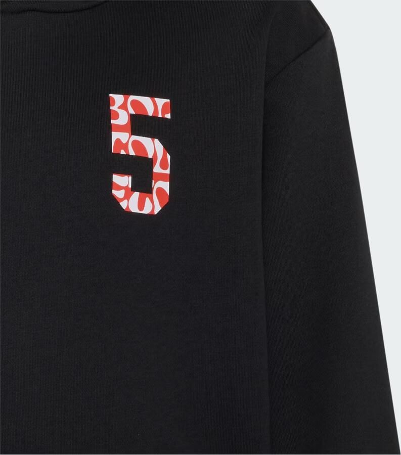 Adidas AUDI REVOLUT F1 TEAM GABRIEL BORTOLETO GRAPHIC II HOODIE - Foto 3