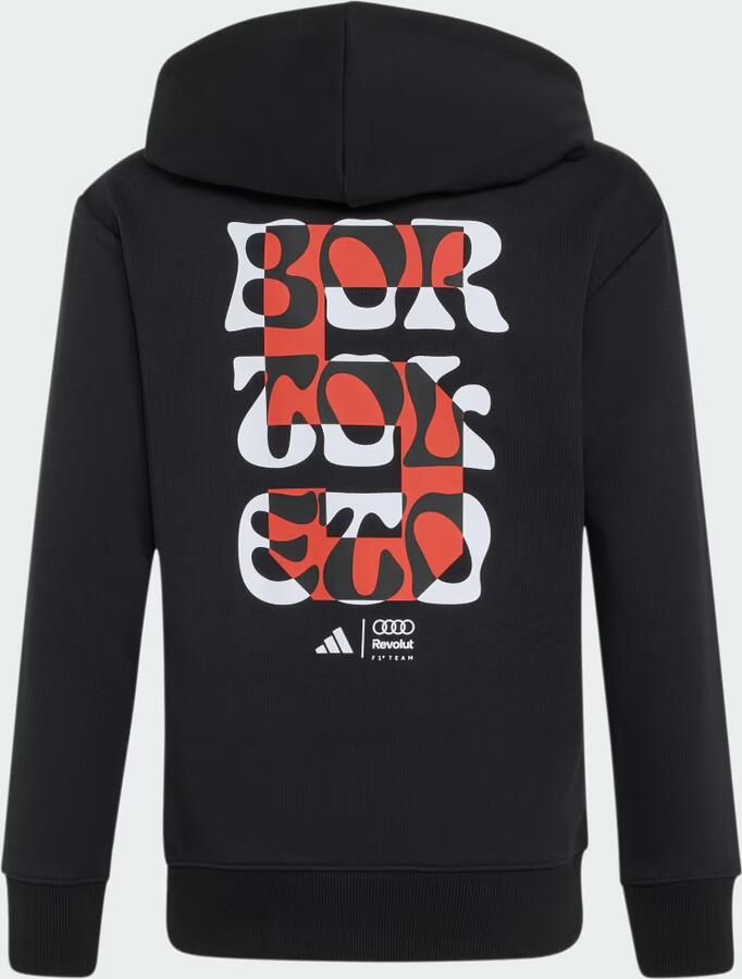 Adidas AUDI REVOLUT F1 TEAM GABRIEL BORTOLETO GRAPHIC II HOODIE