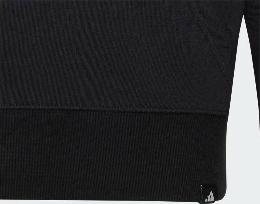 Adidas AUDI REVOLUT F1 TEAM GABRIEL BORTOLETO GRAPHIC II HOODIE - Foto 4