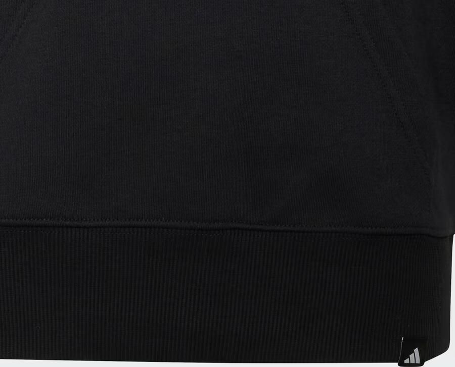 Adidas AUDI REVOLUT F1 TEAM GABRIEL BORTOLETO GRAPHIC III HOODIE - Foto 2