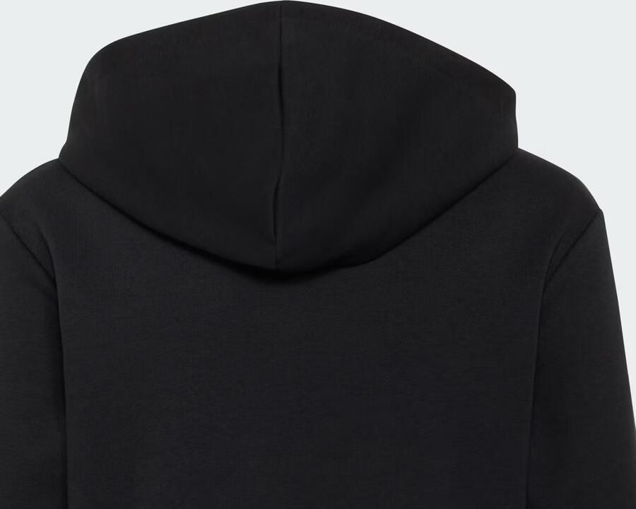 Adidas AUDI REVOLUT F1 TEAM GABRIEL BORTOLETO GRAPHIC III HOODIE - Foto 3