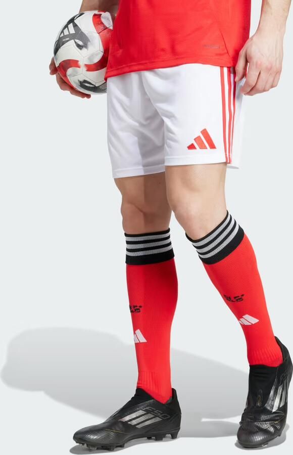Adidas Benfica 25 26 Thuisshort