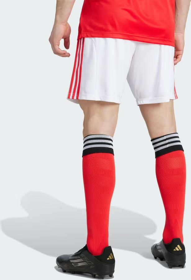 Adidas Benfica 25 26 Thuisshort - Foto 5
