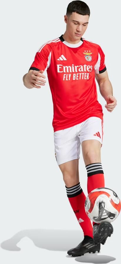 Adidas Benfica 25 26 Thuisshort - Foto 6