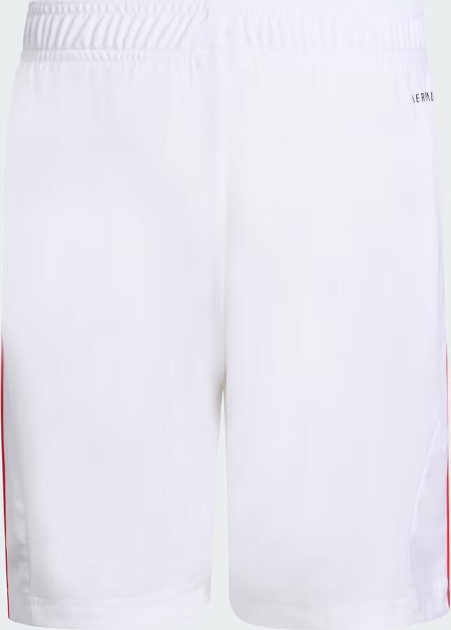 Adidas Benfica 25 26 Thuistenue Jeugd - Foto 4