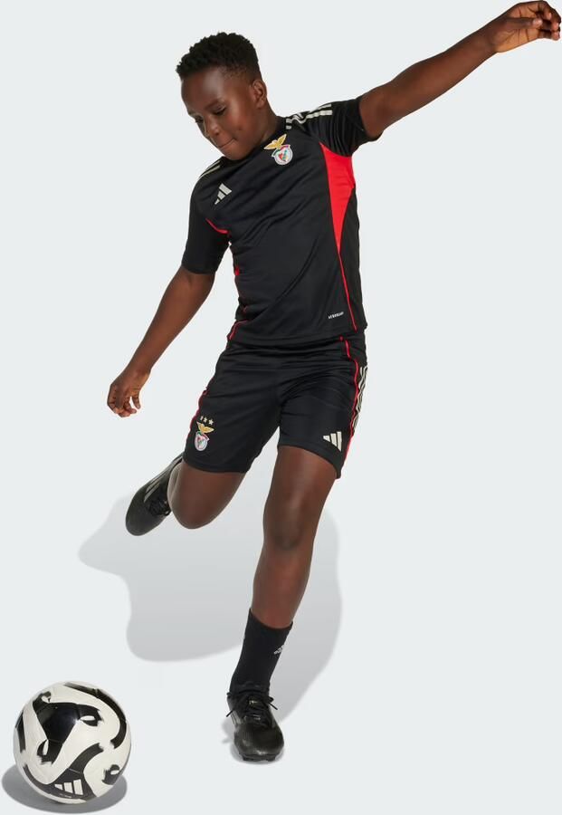 Adidas Benfica Tiro 25 Competition Training Short Kids - Foto 4