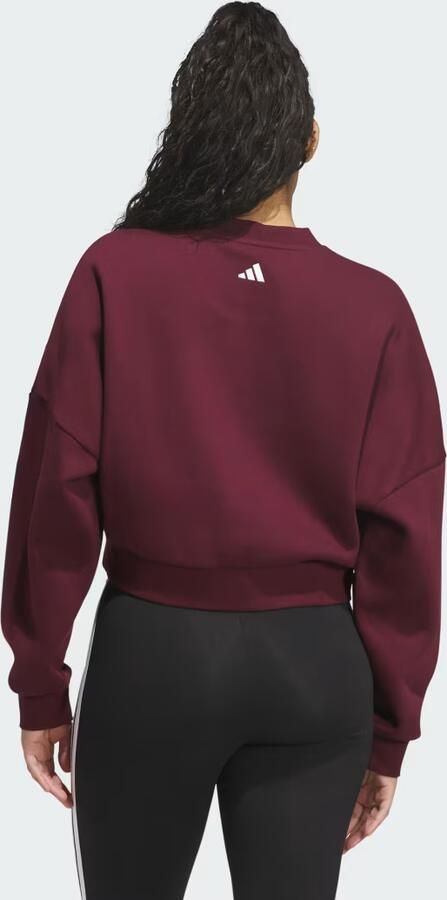Adidas CHENILLE LOGO GRAPHIC SWEATSHIRT