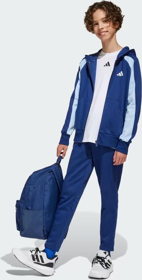 Adidas Perfor ce Rugzak CLSC BARS BP - Foto 5