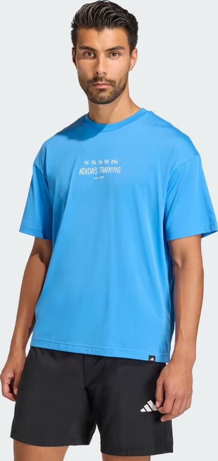 Adidas CLIMACOOL POWER TRAINING GRAPHIC T-SHIRT
