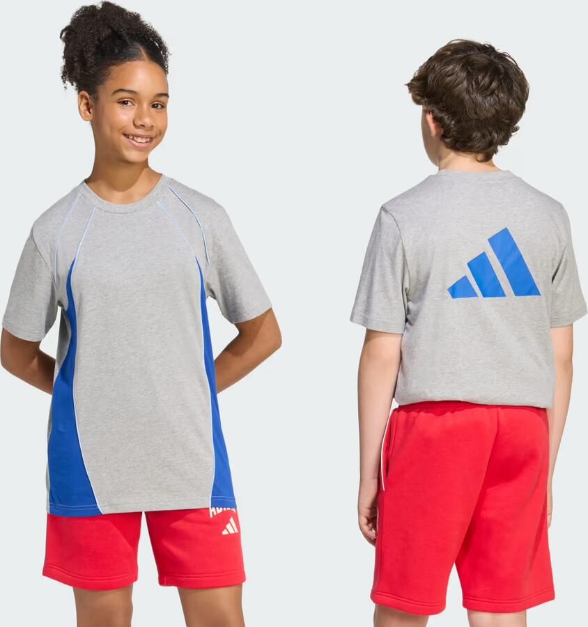 Adidas COLOR BLOCK T-SHIRT