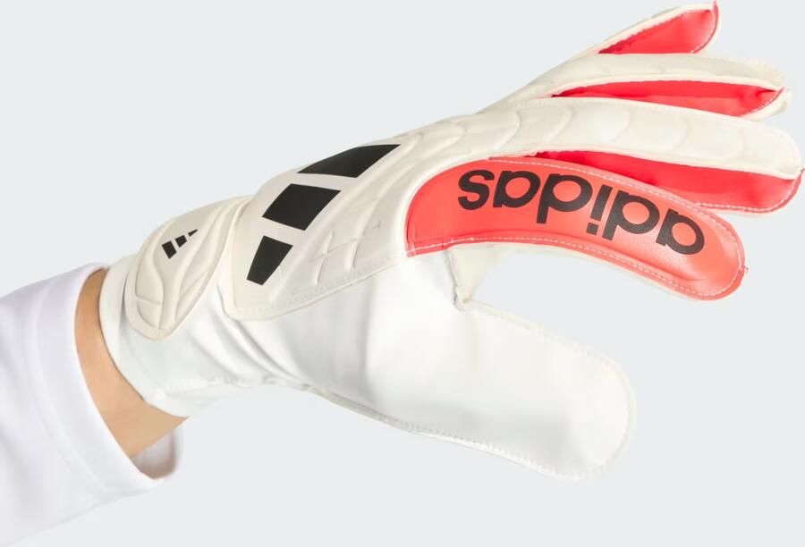 Adidas COPA CLUB KEEPERSHANDSCHOEN - Foto 6
