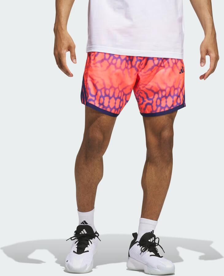 Adidas CRAZYLITE GRAPHIC SHORT