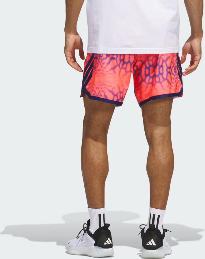 Adidas CRAZYLITE GRAPHIC SHORT - Foto 5