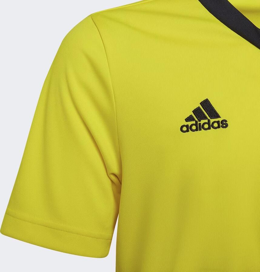 Adidas T-shirt Korte Mouw Entrada 22 - Foto 3