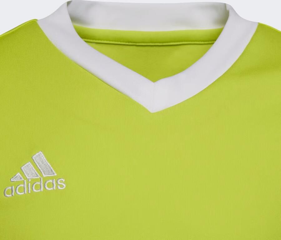Adidas perfor ce T shirt - Foto 4